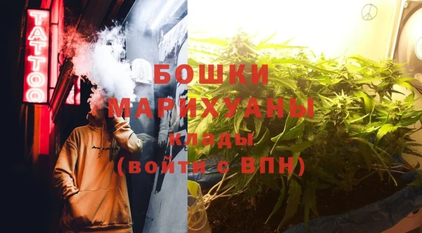 бошки Лагань