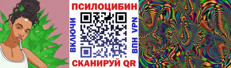 Псилоцибиновые грибы MAGIC MUSHROOMS  Сясьстрой 